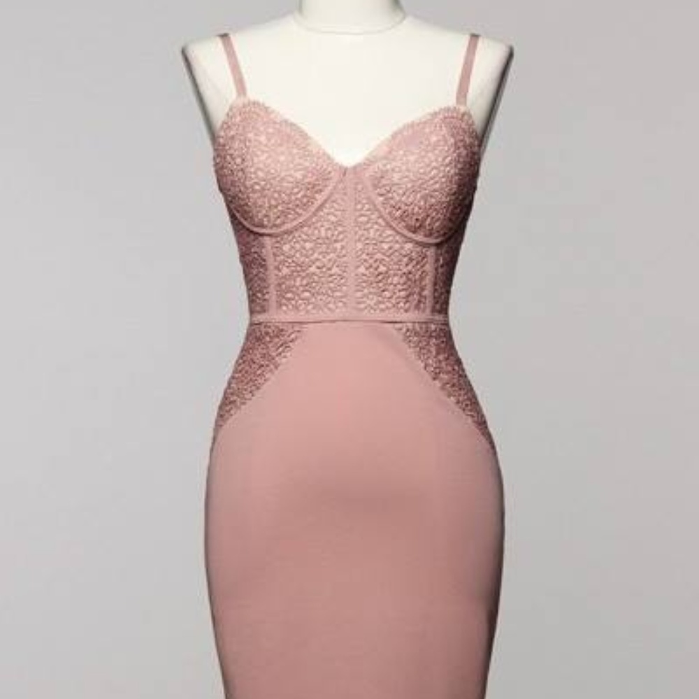 Lace Bustier Bodycon Dress NWT